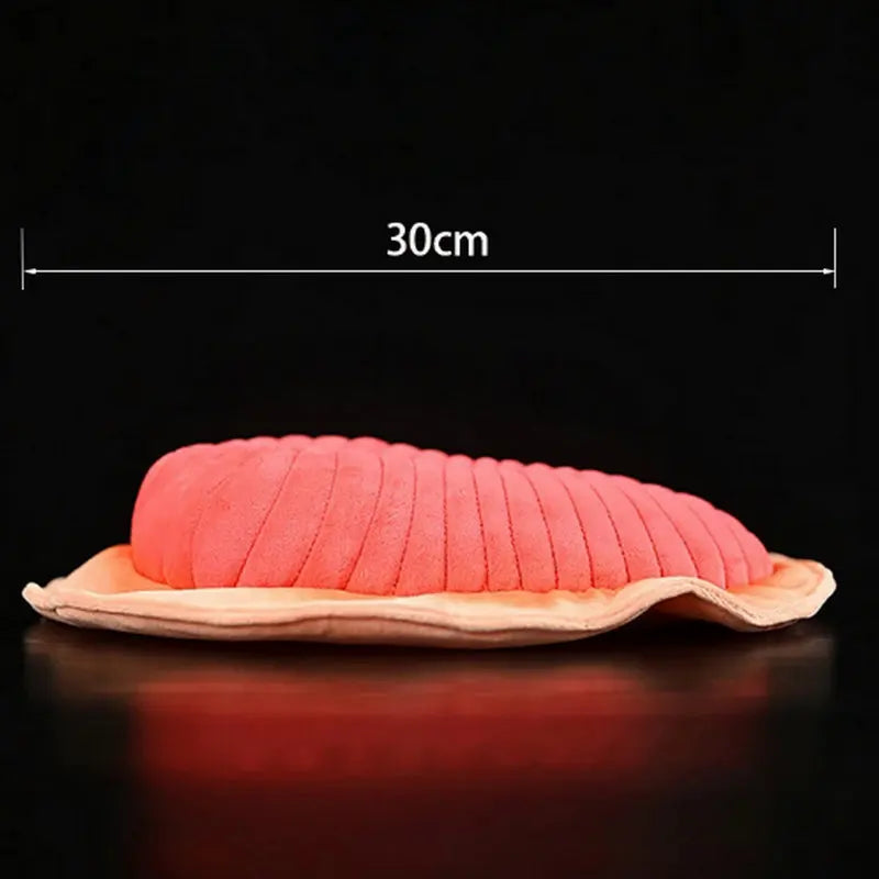 Plush Dickinsonia Jellyfish Stuffed Toy - 30cm