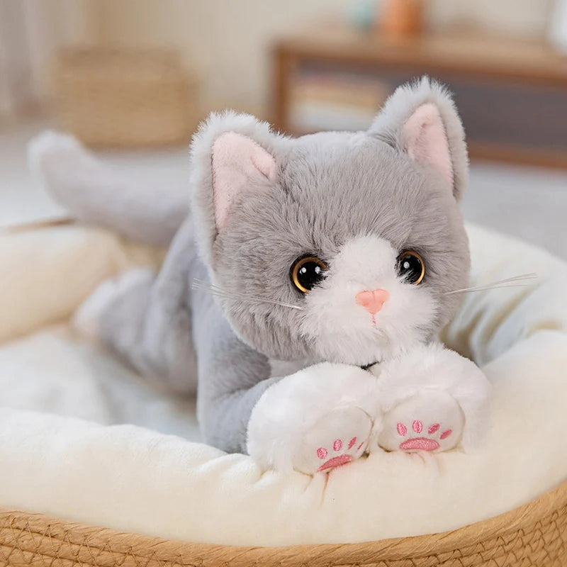 Plush Cat Stuffed Toy - 53CM