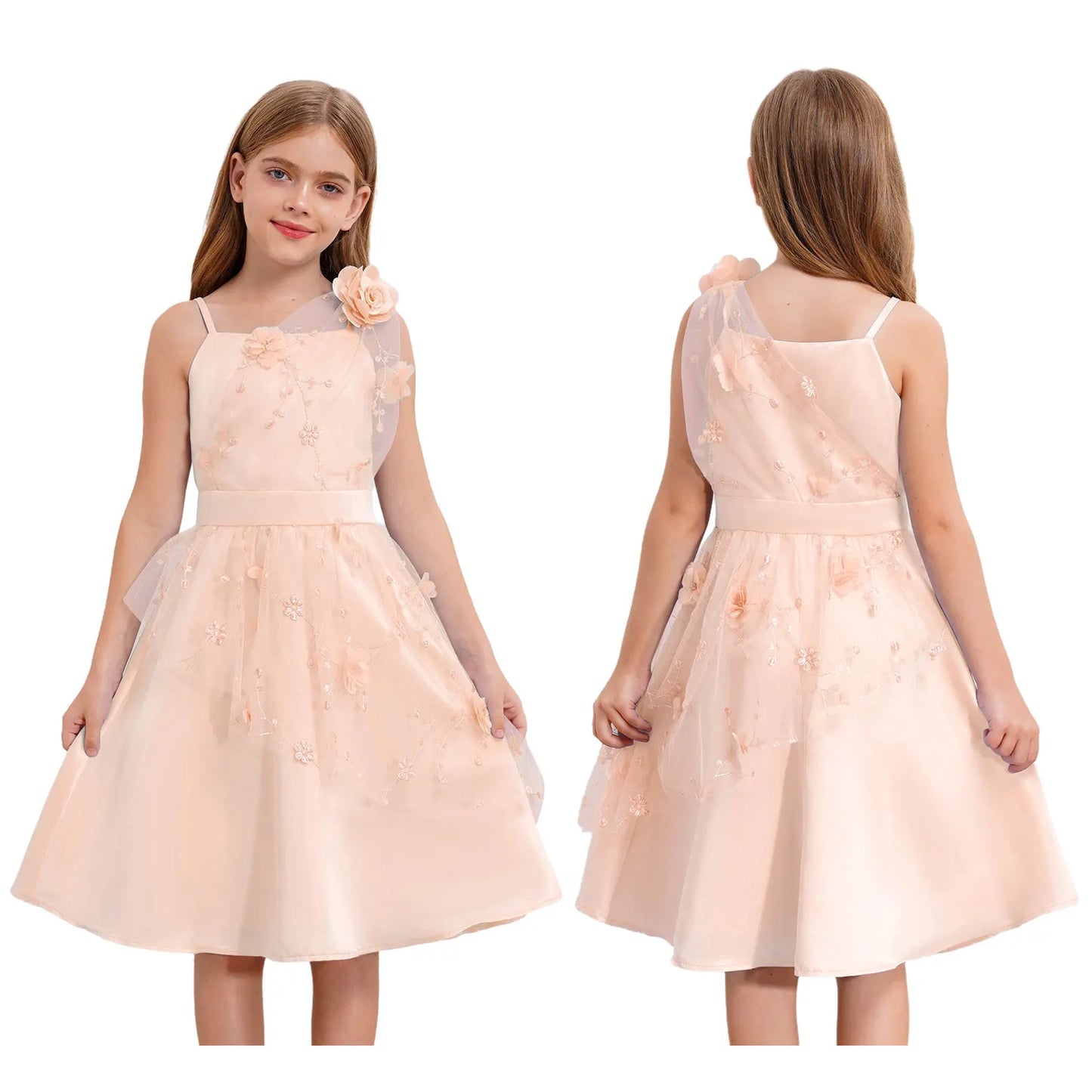 Girls Floral Embroidered Tulle Dress (Age 6-26 YRS) Apricot