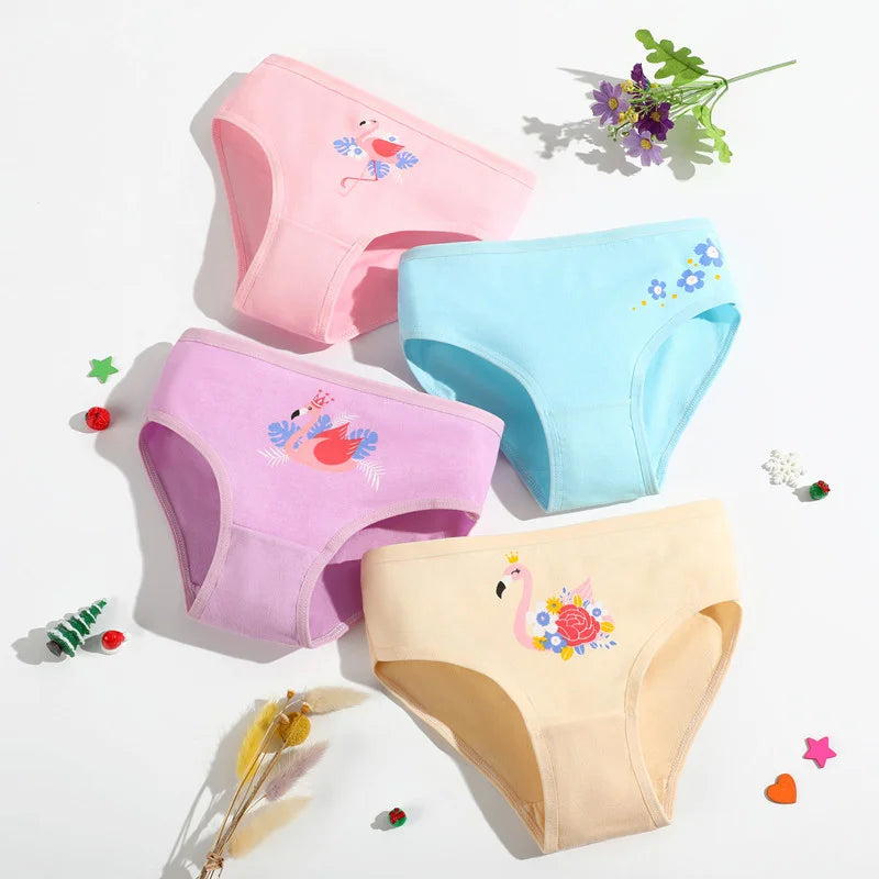 4 Piece - Girls Cotton Underwear 4 pieces 11