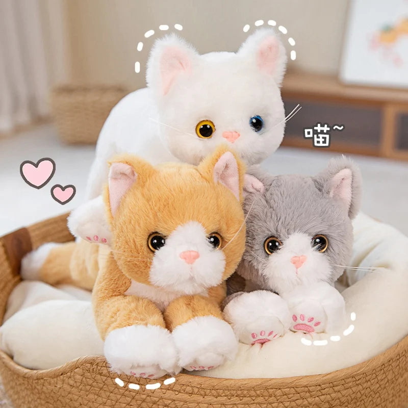 Plush Cat Stuffed Toy - 53CM