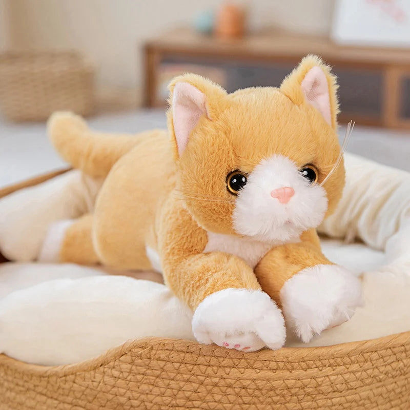 Plush Cat Stuffed Toy - 53CM