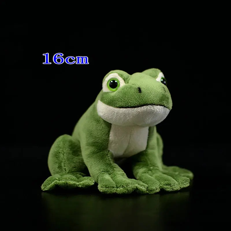 Plush Red Eye Tree Frog Stuffed Toy - 22cm