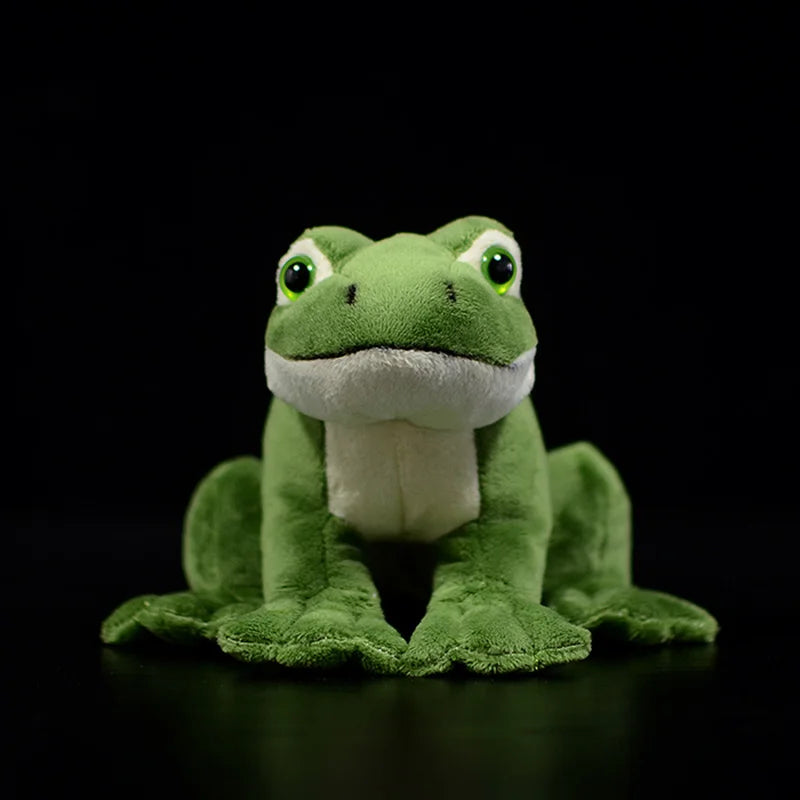 Plush Green Frog Stuffed Toy - 16cm