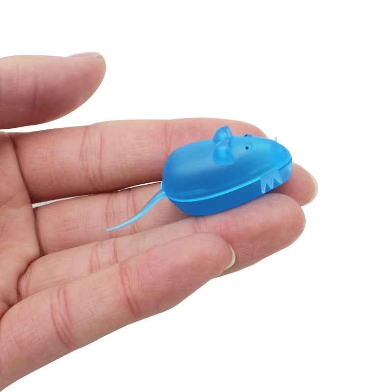 (10 Pack) Baby Tooth Keepsake Case Box
