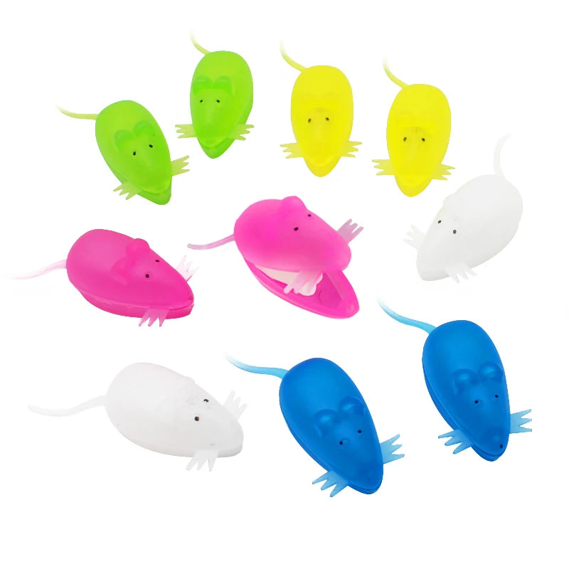 (10 Pack) Baby Tooth Keepsake Case Box