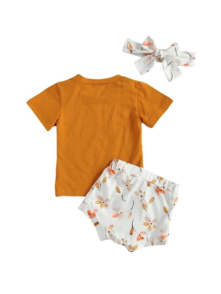 Baby Girls Brown T-Shirt Floral Shorts & Headband Set (Age 6m-24m)