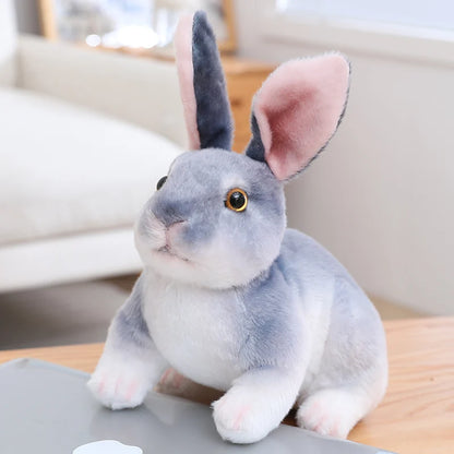 Plush Cute Rabbit Stuffed Toy - 20cm