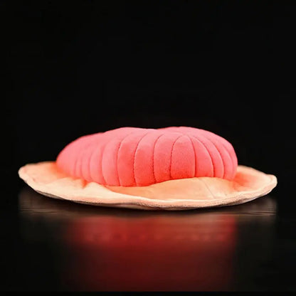 Plush Dickinsonia Jellyfish Stuffed Toy - 30cm