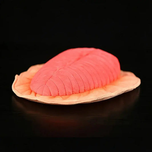 Plush Dickinsonia Jellyfish Stuffed Toy - 30cm