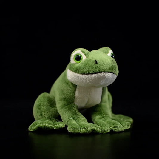 Plush Green Frog Stuffed Toy - 16cm