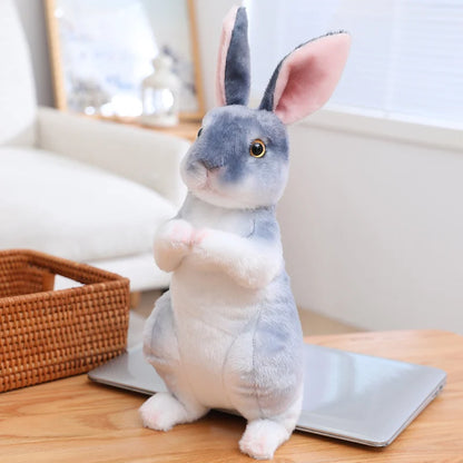 Plush Cute Rabbit Stuffed Toy - 20cm