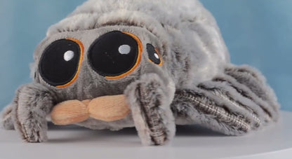 Lucas The Spider Plush Toy - 16-20cm