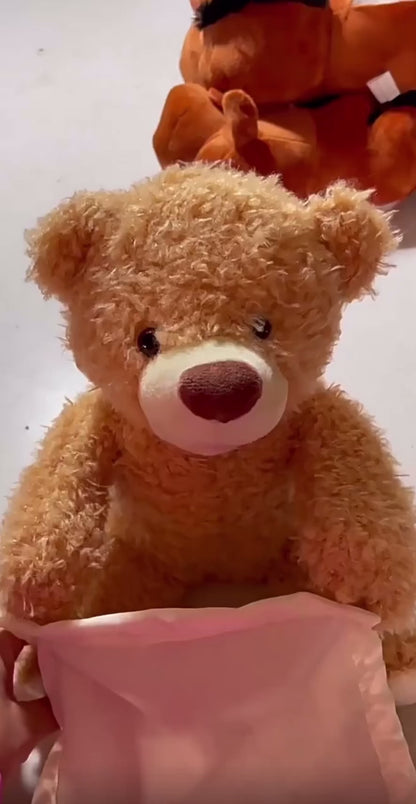 Plush Peek-A-Boo Teddy Bear Hide and Seek Shy Bear - 30cm